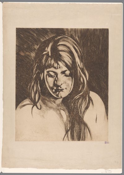 Cabeça de uma mulher com cabelo solto de Willem Arnoldus Witsen