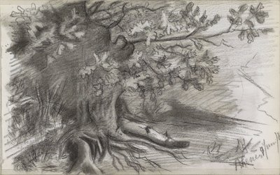 Paisagem com uma grande árvore em Rhenen de Willem Arnoldus Witsen