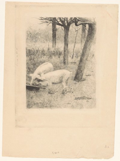 Dois porcos em uma calha de Willem Arnoldus Witsen