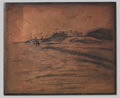 Valkeveen no Zuiderzee de Willem Arnoldus Witsen
