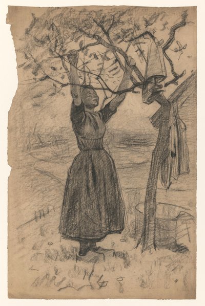 Mulher pendura a roupa em uma árvore, à direita de Willem Arnoldus Witsen