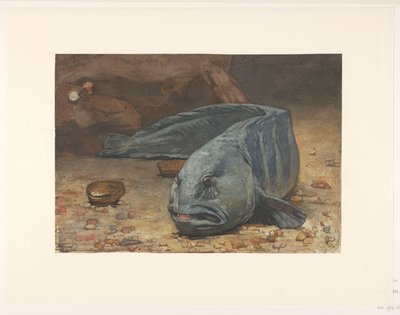 Lobo-marinho no fundo de um aquário de Willem Arnoldus Witsen
