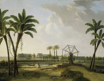 Vista da Plantação de Café Marienbosch no Suriname de Willem de Klerk