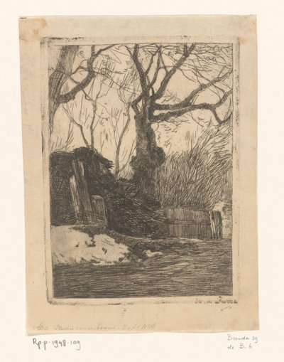 Árvores e bichas por uma cerca Galhos perto de uma cerca com árvores (título original) de Willem de Zwart (signed by artist)