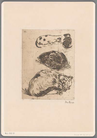 Estudo de gatos (título original) de Willem de Zwart (signed by artist)