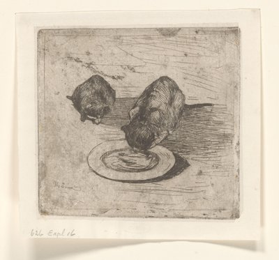 Dois gatos, um bebendo de um prato Dois bichanos (título original) de Willem de Zwart