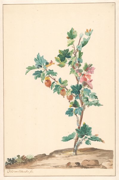 Uma groselha em uma paisagem de Willem van Leen (attributed to)