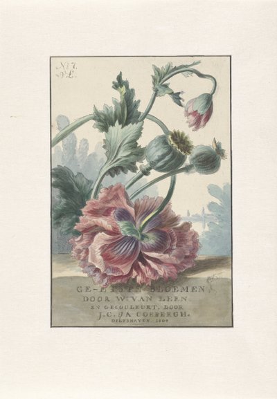 Papoilas
Impressão do título para: W. van Leen e J.C. & J.A. Coebergh, Etched Flowers, 1804 de Willem van Leen