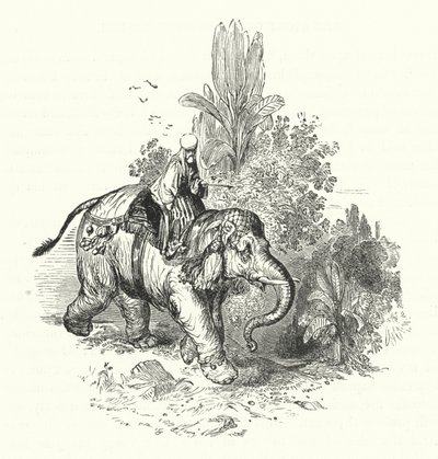 Abd-El-Kuddoos on the Elephant (gravura) de William (after) Harvey