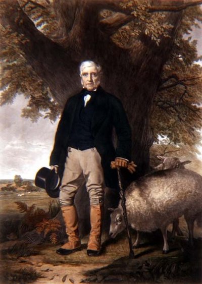 Retrato de Samuel Wiley com ovelhas premiadas, gravado por J. Andrews de William (after) Hay