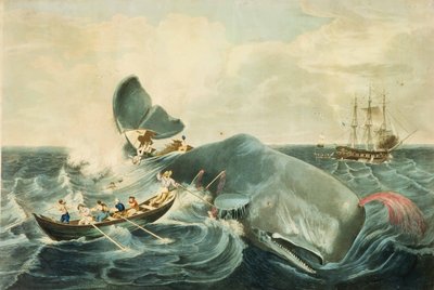Captura de um cachalote, gravura de J. Hill, publicada em 1835 (água-tinta colorida) de William (after) Page