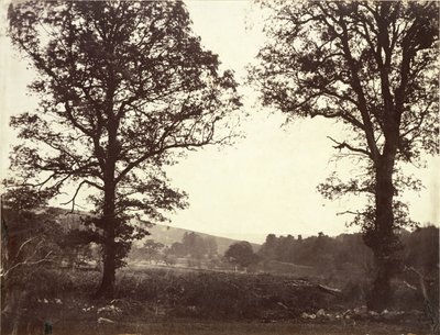 Paisagem com olmos, Ashdown, Grã-Bretanha de William 2nd Earl of Craven