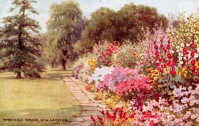 Fronteira herbácea, Kew Gardens de William Affleck Carruthers