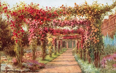 The Rose Pergola, Kew Gardens de William Affleck Carruthers