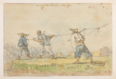 WD 959 secção 2 f.41r de William Alexander