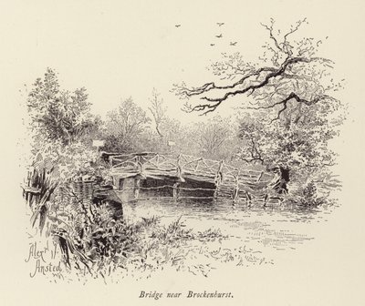 Ponte perto de Brockenhurst (gravura) de William Alexander Ansted