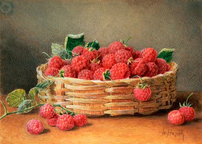 Uma vida ainda de framboesas em uma cesta de vime de William B. Hough