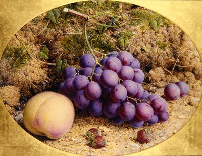 Uvas e Pêssego em um Banco Mossy (aquarela em papel) de William B. Hough