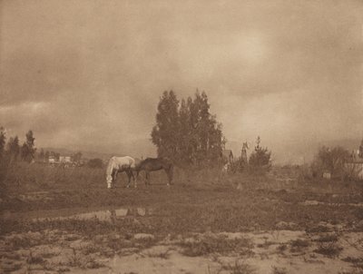 Paisagem de Pasadena de William B. Post