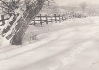 Caminho na neve de William B. Post