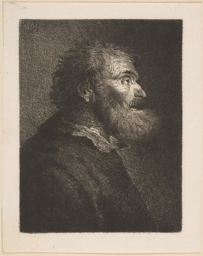 Um homem velho de perfil, 1761. de William Baillie
