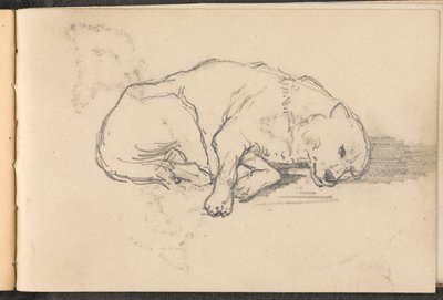 Esboço de um cão adormecido, cerca de 1879 de William Barnes Wollen