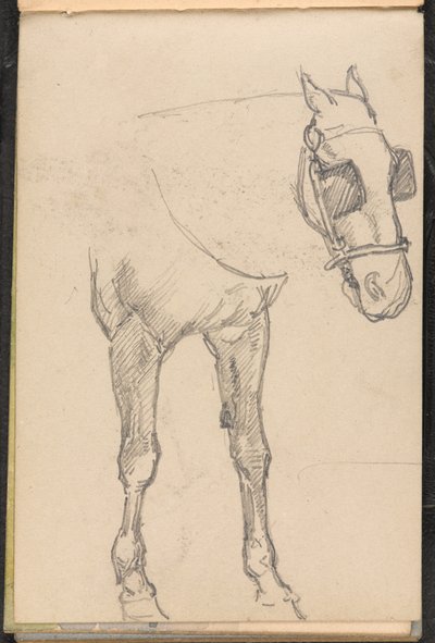 Esboço de cavalo com antolhos, por volta de 1879 de William Barnes Wollen