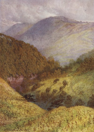 Olhando para baixo Chee Dale, High Tor à distância de William Biscombe Gardner