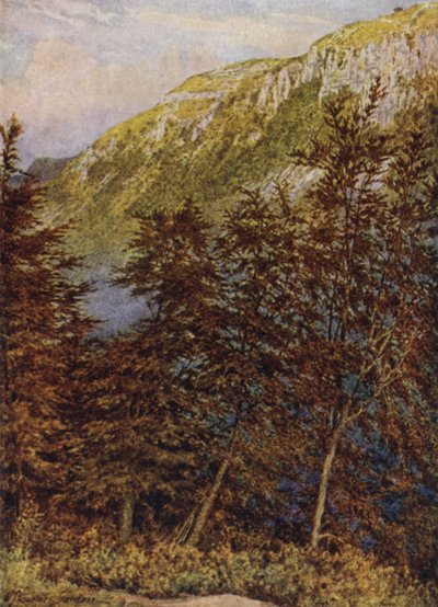 Vale de Raven, Cressbrook de William Biscombe Gardner