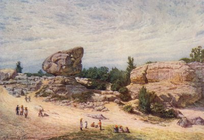 The Toad Rock, Rusthall Common, Tunbridge Wells (litografia a cores) de William Biscombe Gardner