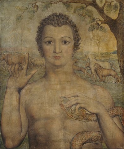 Adão Dá nome aos animais de William Blake