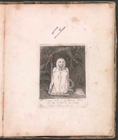 Para crianças. Os portões do paraíso, ilustração 18, eu disse ao verme. . . . de William Blake