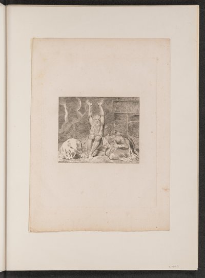O desespero de Jó de William Blake