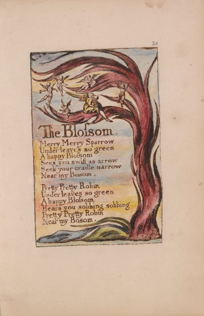 Canções de inocência e experiência, ilustração 20, The Blossom (Bentley 11) de William Blake