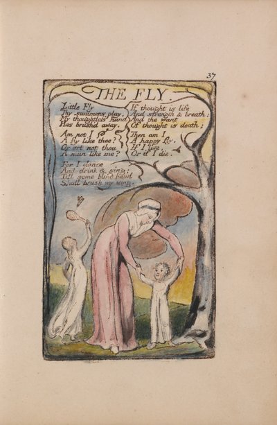 Canções de inocência e experiência, ilustração 37, The Fly (Bentley 40) de William Blake