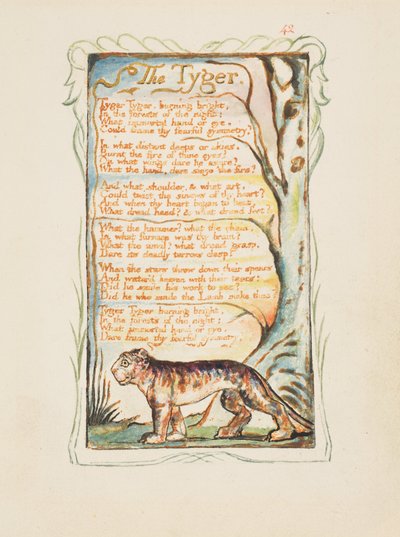 Canções de Inocência e de Experiência: O Tyger, ca. 1825. de William Blake