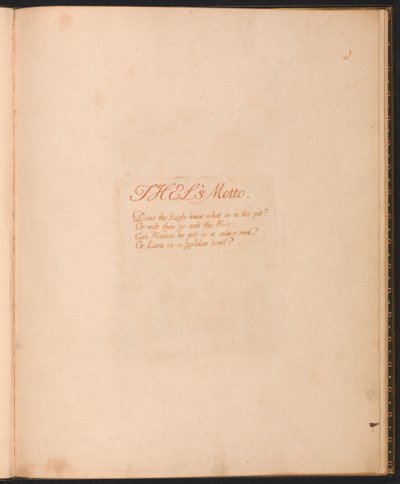 O Livro de Thel, Placa 1, Lema de Thels ... de William Blake