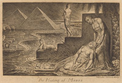 O Esconderijo de Moisés de William Blake