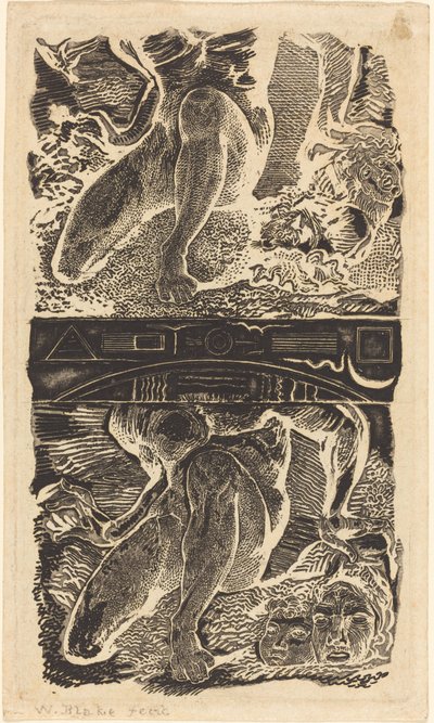 Assunto desconhecido (Deixe-o olhar para o céu e rir no ar brilhante) de William Blake