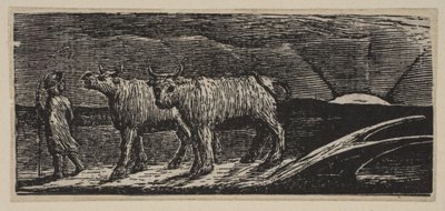 Novilhas Unyokd, Loitering Homeward, de Thorntons Pastorals of Virgil, 1821. de William Blake