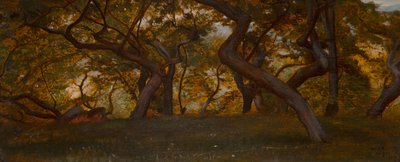 Um bosque perto de Volterra, Itália (óleo sobre painel) de William Blake Richmond