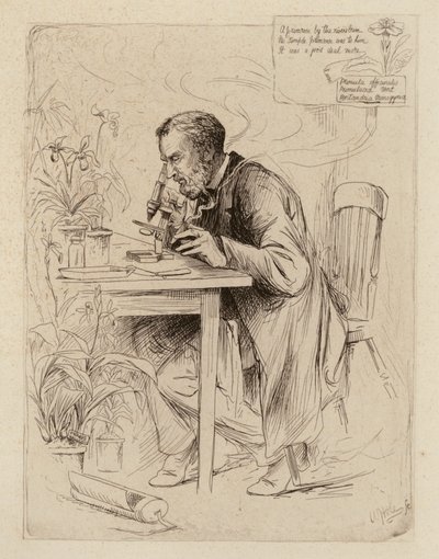 Alexander Dickson, Professor de Botânica (gravura) de William Brassey (after) Hole