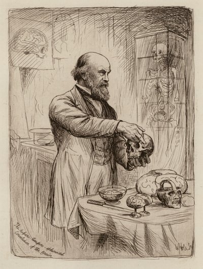 William Turner, Professor de Anatomia (gravura) de William Brassey (after) Hole