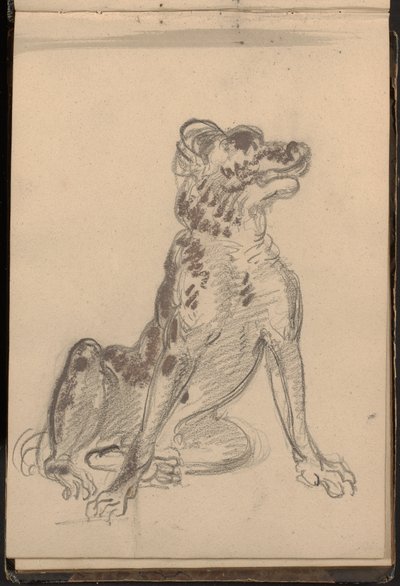 Retrato de um cão de William Brockedon