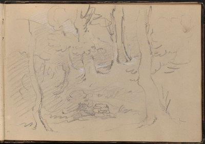 Esboço de um Grupo de Árvores de William Brockedon