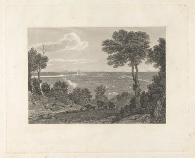 Vista Distante de Chester de William Byrne