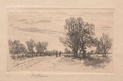 Paisagem de William C. Bauer