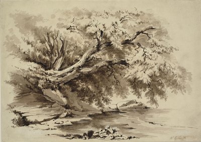 Paisagem com árvores pendendo de um lago de William Collingwood Smith