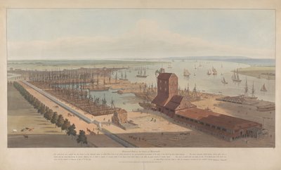 Brunswick Dock no Tâmisa em Blackwall de William Daniell