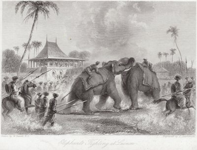 Elefantes lutando em Lucknow de William Daniell
